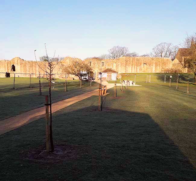 PLANTING AT BARNARD CASTLE