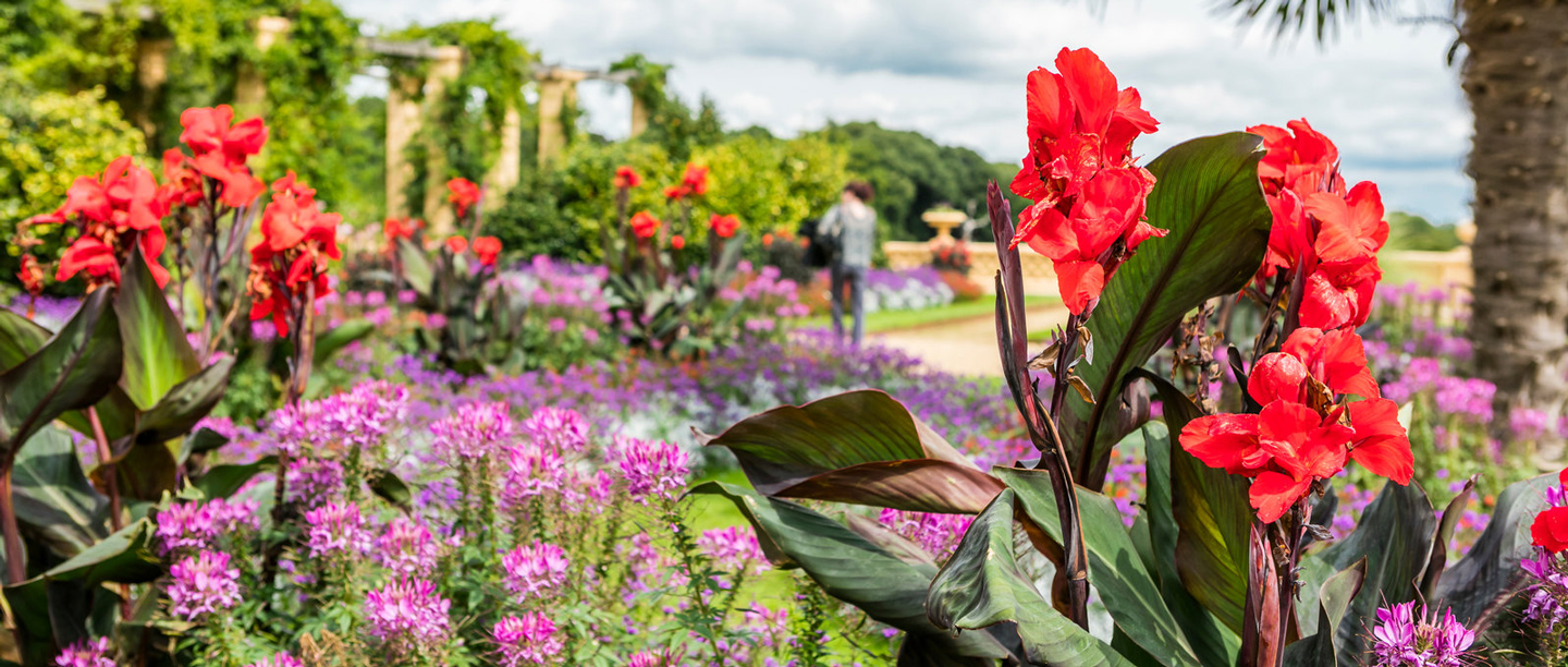 Image: terrace at Osborne