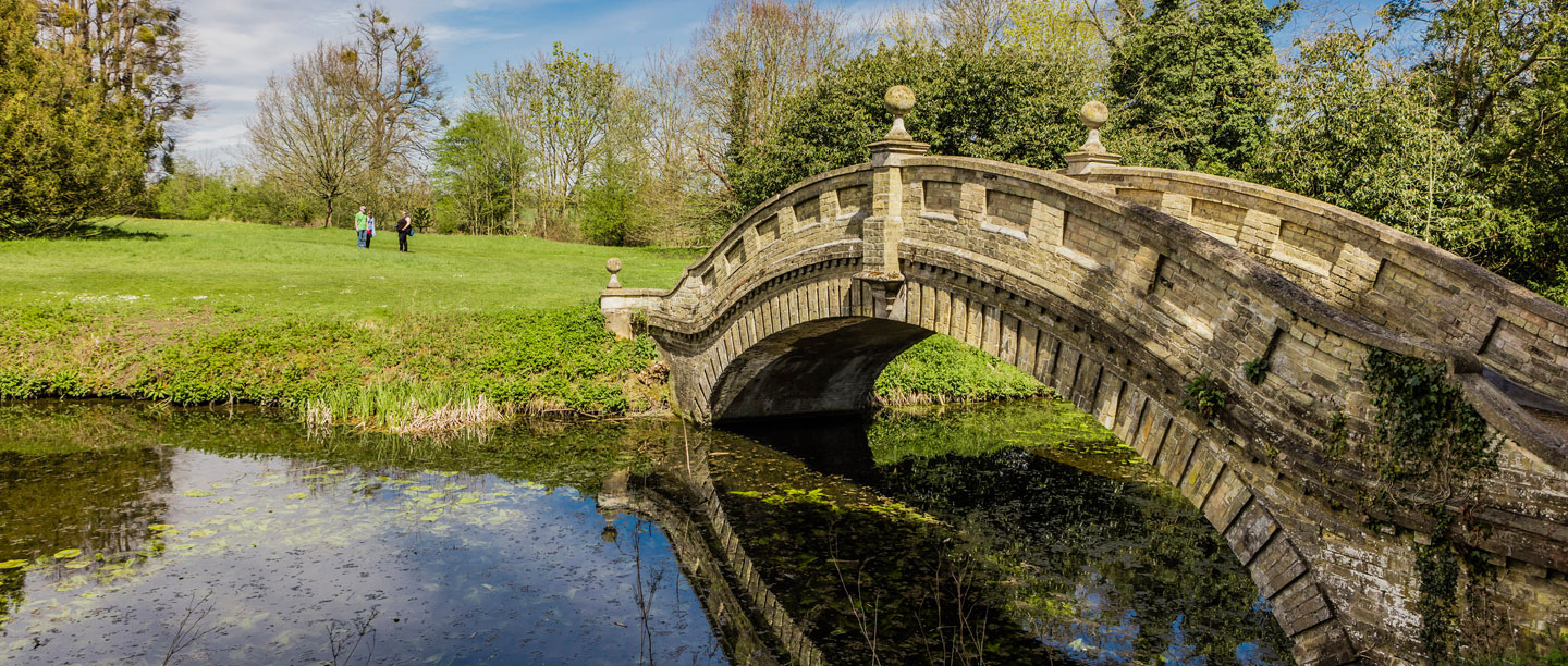 Image: The 20 Question Quiz