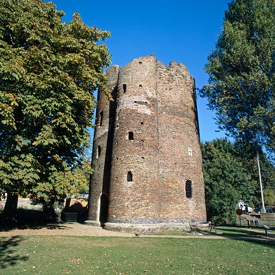 External view of Cow Tower rising alongside a mature horse chestnut tree