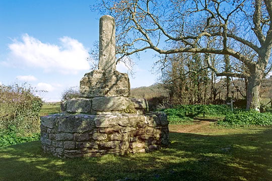 The truncated  Butter Cross in its leafy setting