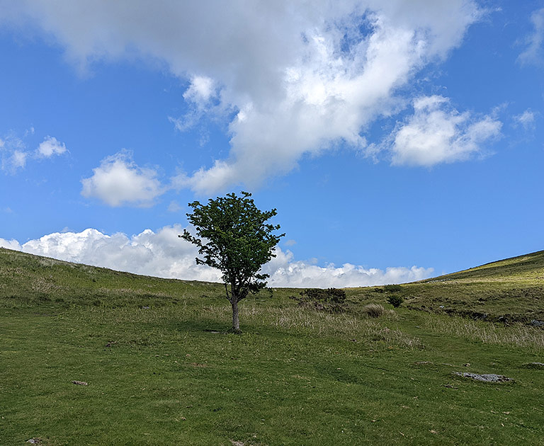 The approach to Grimspound