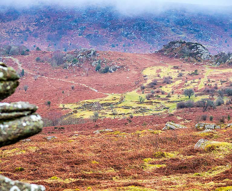 View from Hound Tor
