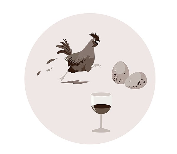 Types of food available in the Iron Age