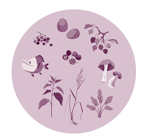 Types of food available in the Mesolithic