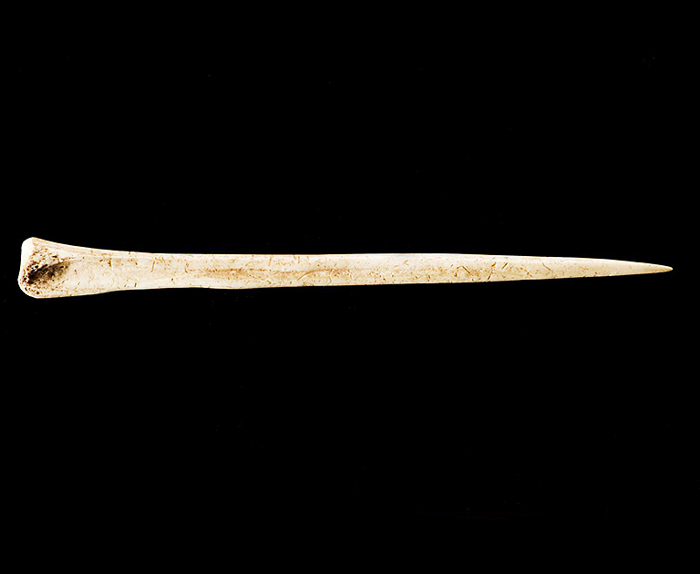 Bone pin